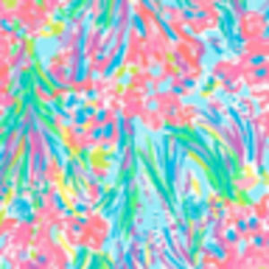 Meet your Posher, Macie